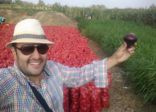 Onion farm
