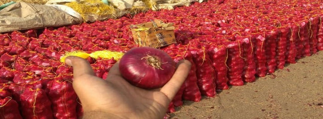 Fresh Egyptian onions