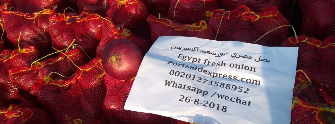 Onion shipment tag