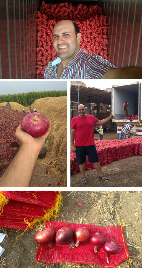 Fresh Egyptian onions
